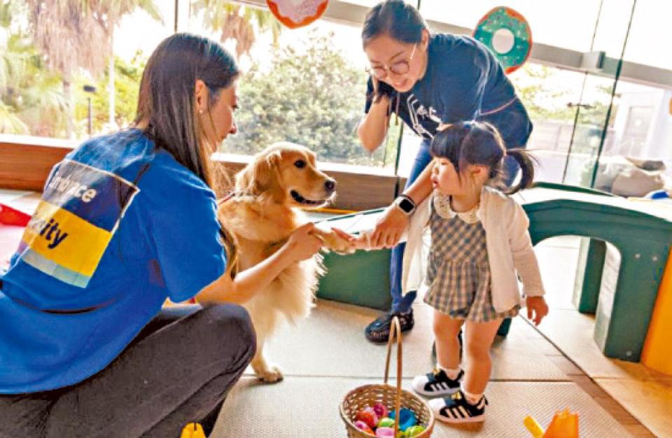 動物輔助介入 社交技能治療 AAI 治療犬