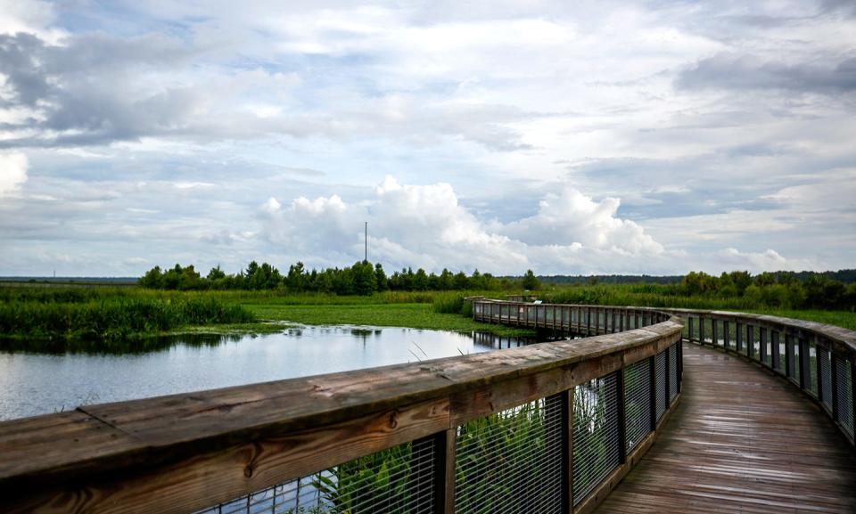 A boardwalk allows visitors to cross watery areas in Sweetwater Wetlands Park in Gainesville in 2021.