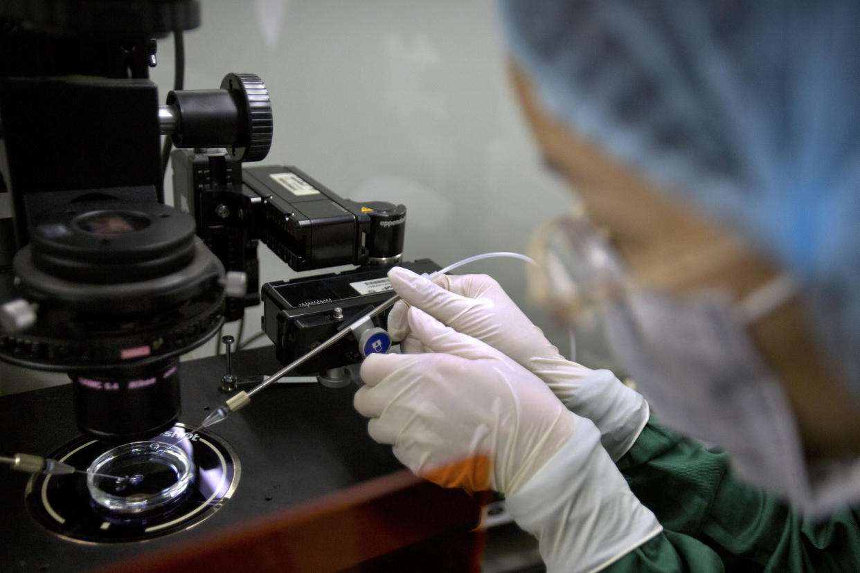 Una investigadora trabaja en la preparación del trabajo con embriones, en octubre de 2018 (AP Photo/Mark Schiefelbein, File)