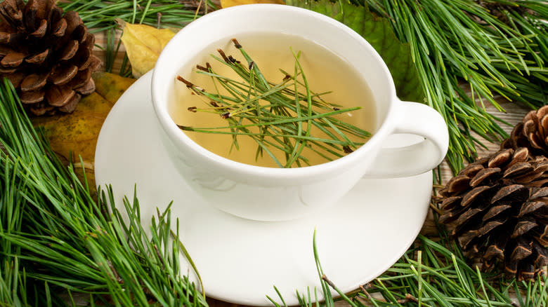 Pine needle tea in a white mug
