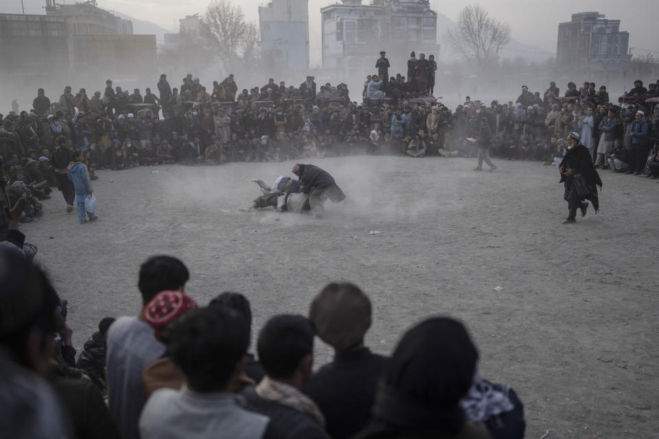 Afghan men wrestle as spectators watch in Kabul, Afghanistan, Friday, Dec. 3 , 2021. The scene is one played out each week after Friday prayers in the sprawling Chaman-e-Huzori park in downtown Kabul, where men, mainly from Afghanistan's northern provinces, gather to watch and to compete in pahlawani, a traditional form of wrestling. (AP Photo/ Petros Giannakouris)