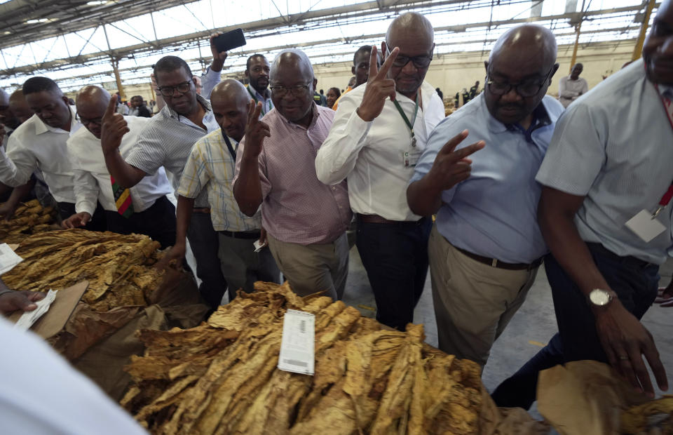 Tobacco auctioneers go through their drills during the opening of the tobacco selling season in Harare, Zimbabwe, Wednesday, March 13, 2024. Zimbabwe one of the worlds largest tobacco producers, on Wednesday opened its tobacco selling season. Officials and farmers said harvests and the quality of the crop declined due to a drought blamed on climate change and worsened by the El Niño weather phenomenon.(AP Photo/Tsvangirayi Mukwazhi)