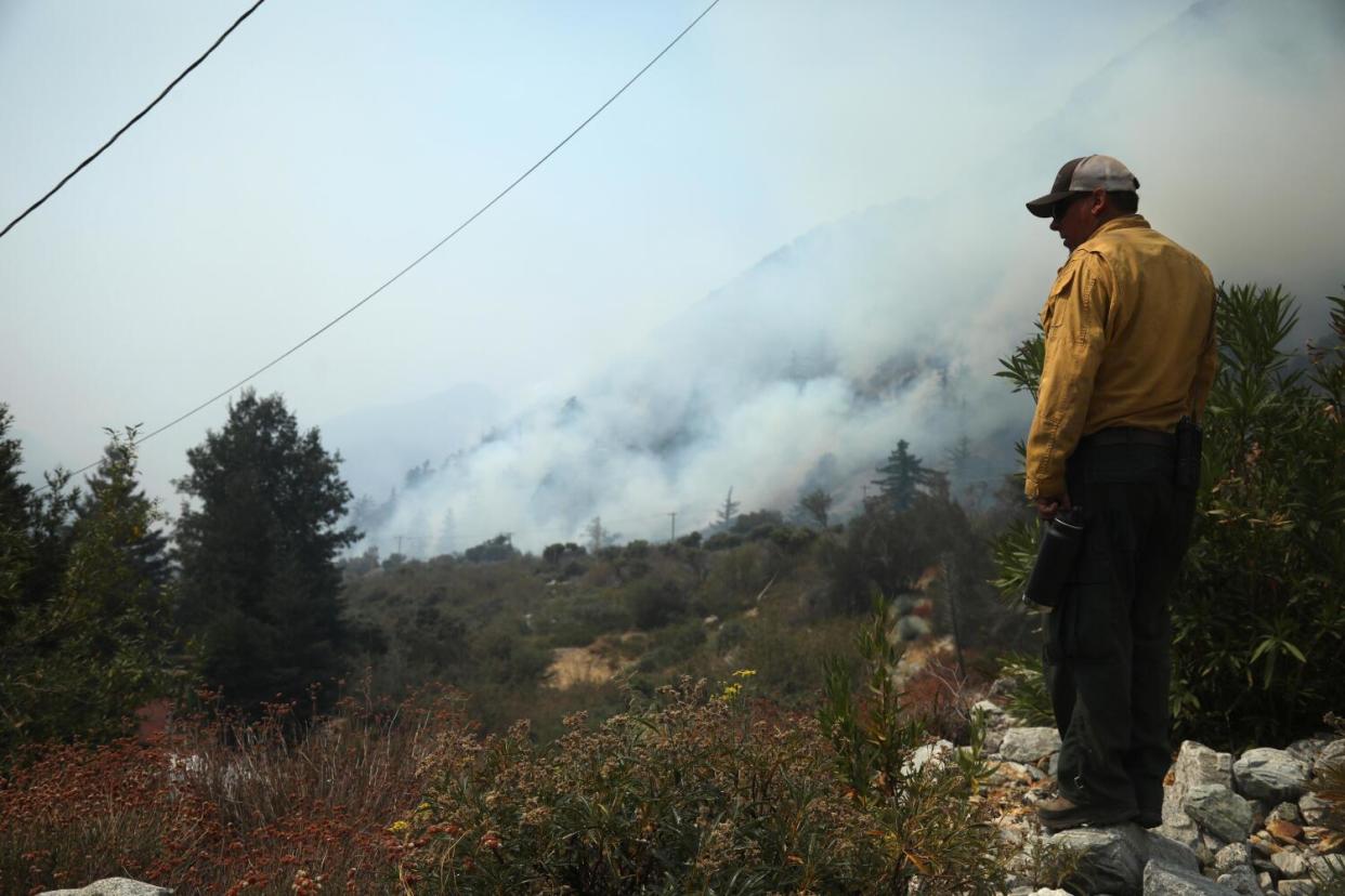 A firefighter watches smoke rise from a ridge.