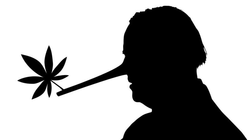 An animation of a silhouetted Joe Biden with a long nose like Pinocchio and a marijuana leaf at the tip of the nose