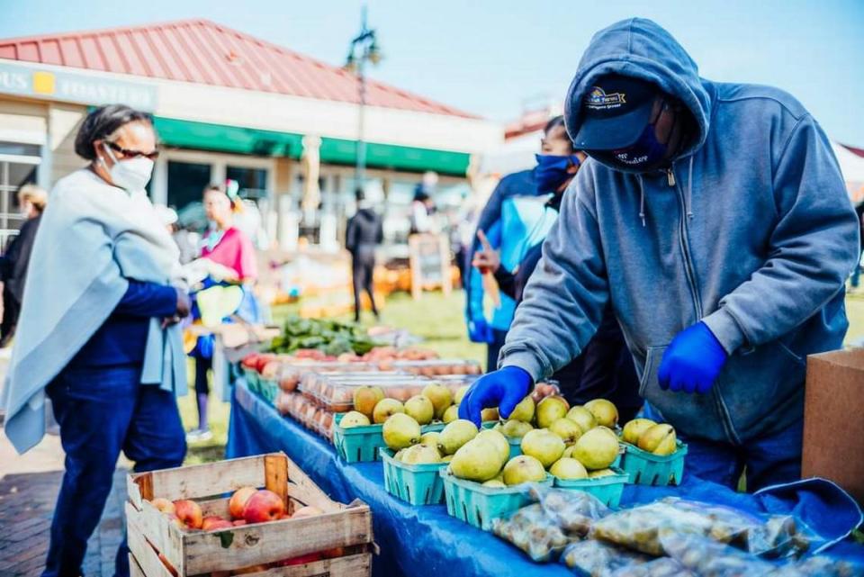 Check out food demos and pick up local produce at the University City Farmers Market.