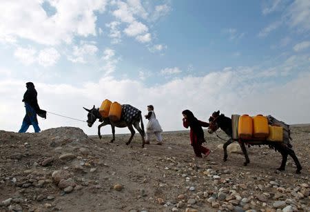 An Afghan internally displaced family carries water containers on their donkeys on the outskirts of Jalalabad city, Afghanistan, January 26, 2015. REUTERS/ Parwiz/File Photo