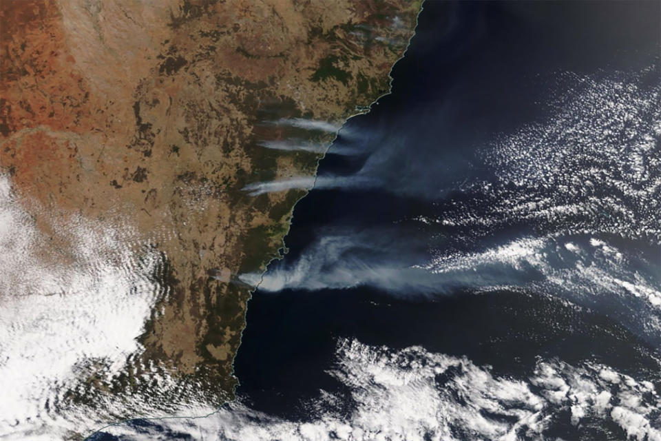 A supplied image from a NASA Worldview Satellite, showing smoke from the current New South Wales bushfires. 