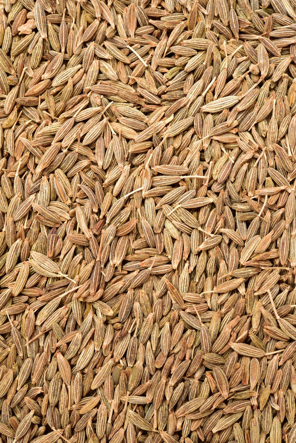 Cumin Seeds