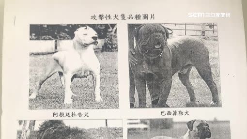 農委會列出有攻擊性的犬隻。