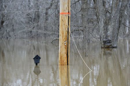 A view of floodwaters after several days of heavy rain led to flooding in Arnold, Missouri, December 30, 2015. REUTERS/Kate Munsch