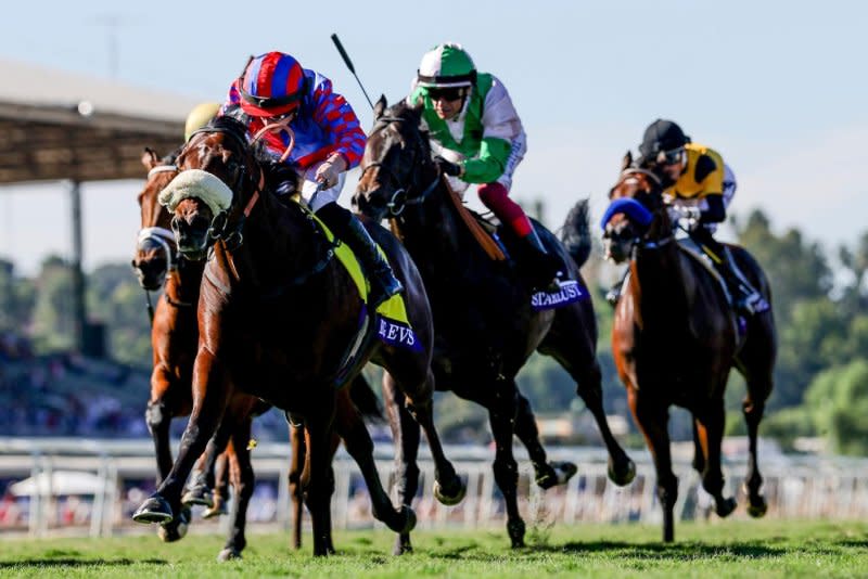 Big Evs, shown winning the 2023 Breeders' Cup Juvenile Turf Sprint, is entered on the first day of Royal Ascot. Photo by Alex Evers/EclipseSportswire, courtesy of Breeders' Cup