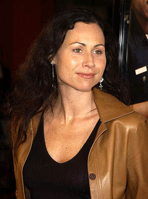 Minnie Driver at the Hollywood premiere of Warner Brothers' Showtime