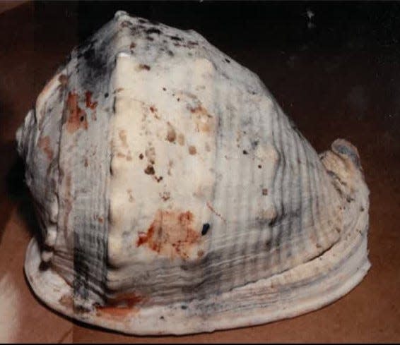 The conch shell shown here with blood stains was one of three weapons used to kill Rose Marie Moniz back in 2001. Newly traced DNA from the shell has revealed a suspect in the brutal slaying.