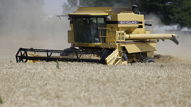 A combine harvests wheat in a field near Perry, Kan., Sunday, July 5, 2015. Normally, the flood of new grain coming in at harvest time drives down crop prices, but wheat prices have actually risen since mid-June.  (AP Photo/Orlin Wagner)