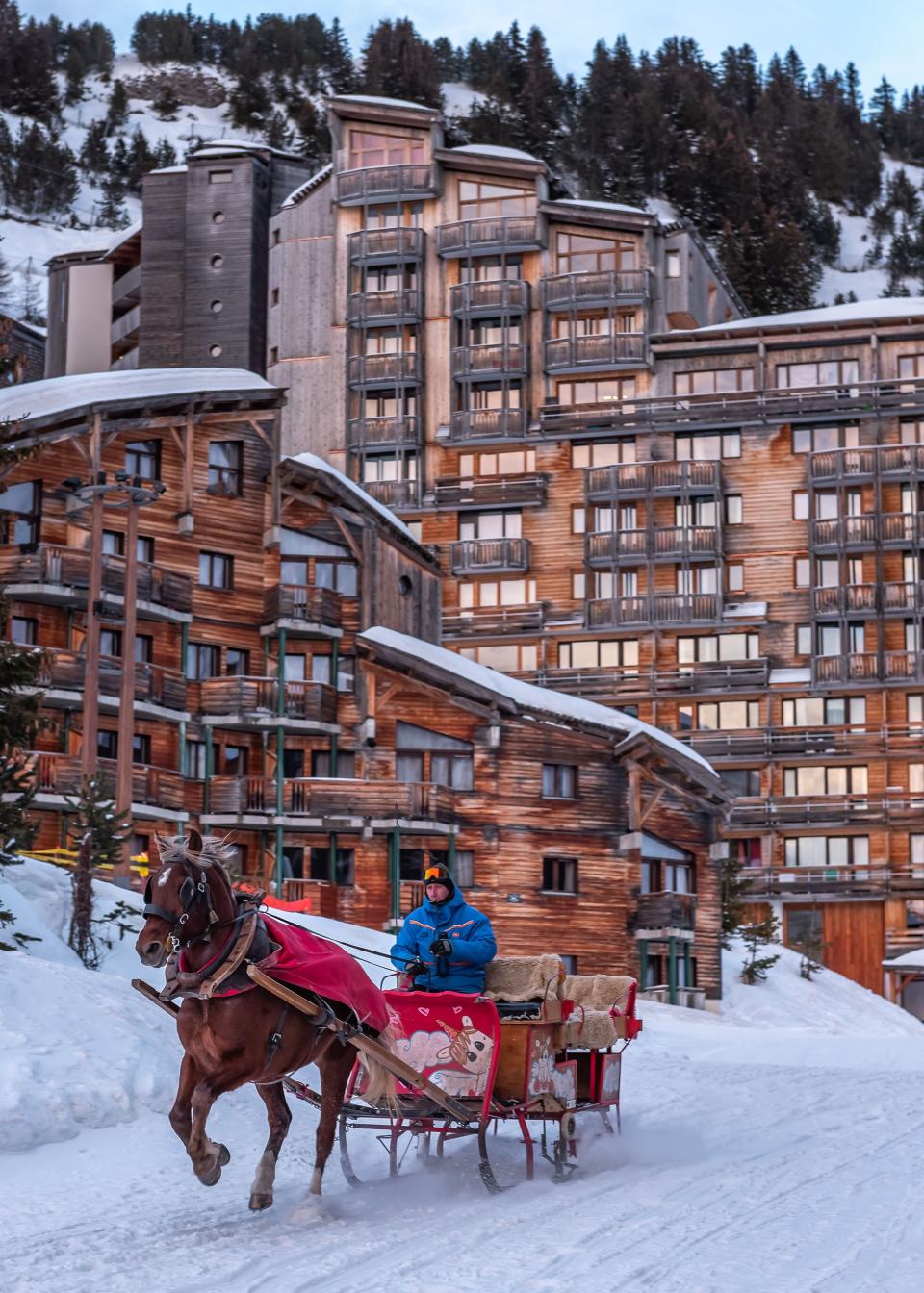 Avoriaz sleigh horse