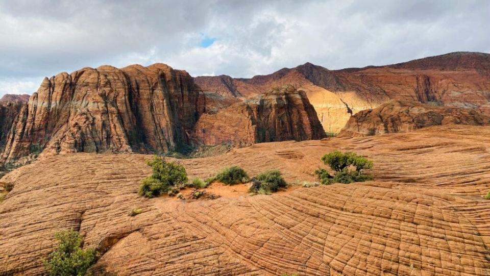 Snow Canyon State Parks is one of the amazing spots near Zion.