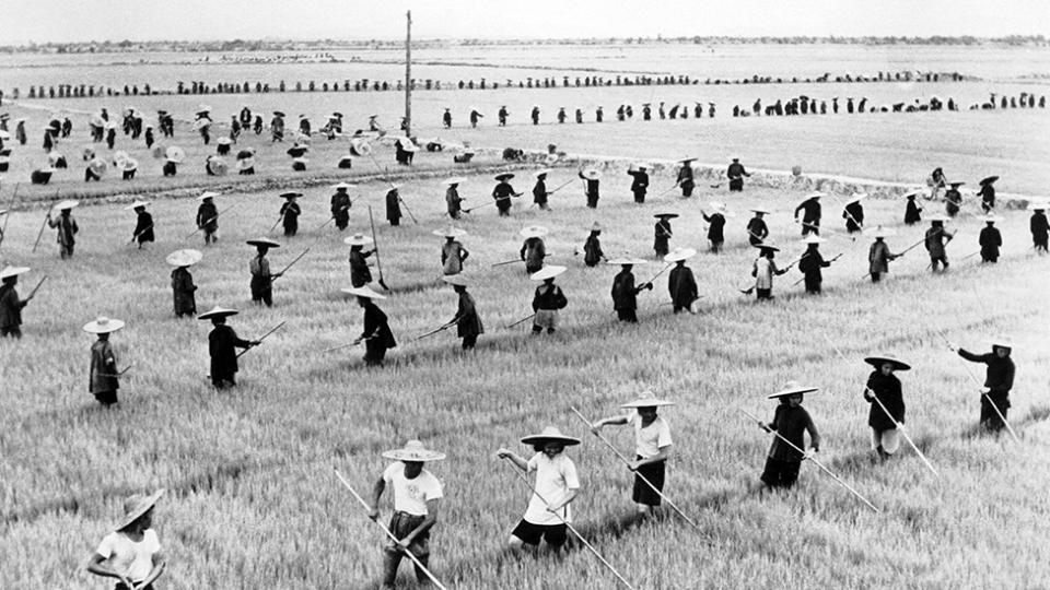 Equipos de campesinos trabajando en una granja comunal durante el 