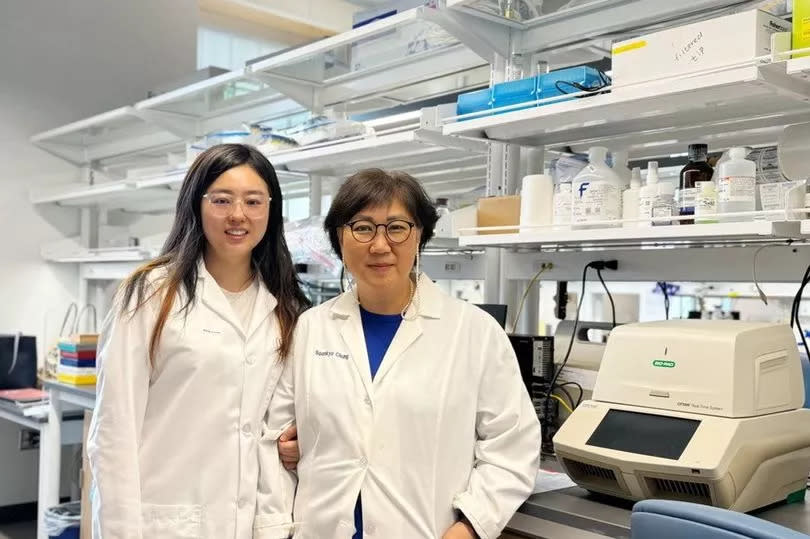 Researchers Rong Fan (left) and Soonkyu Chung (right) from the Department of Nutrition at the University of Massachusetts Amherst