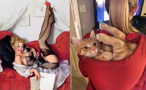 Ces chats qui prennent la pose comme des pin-up