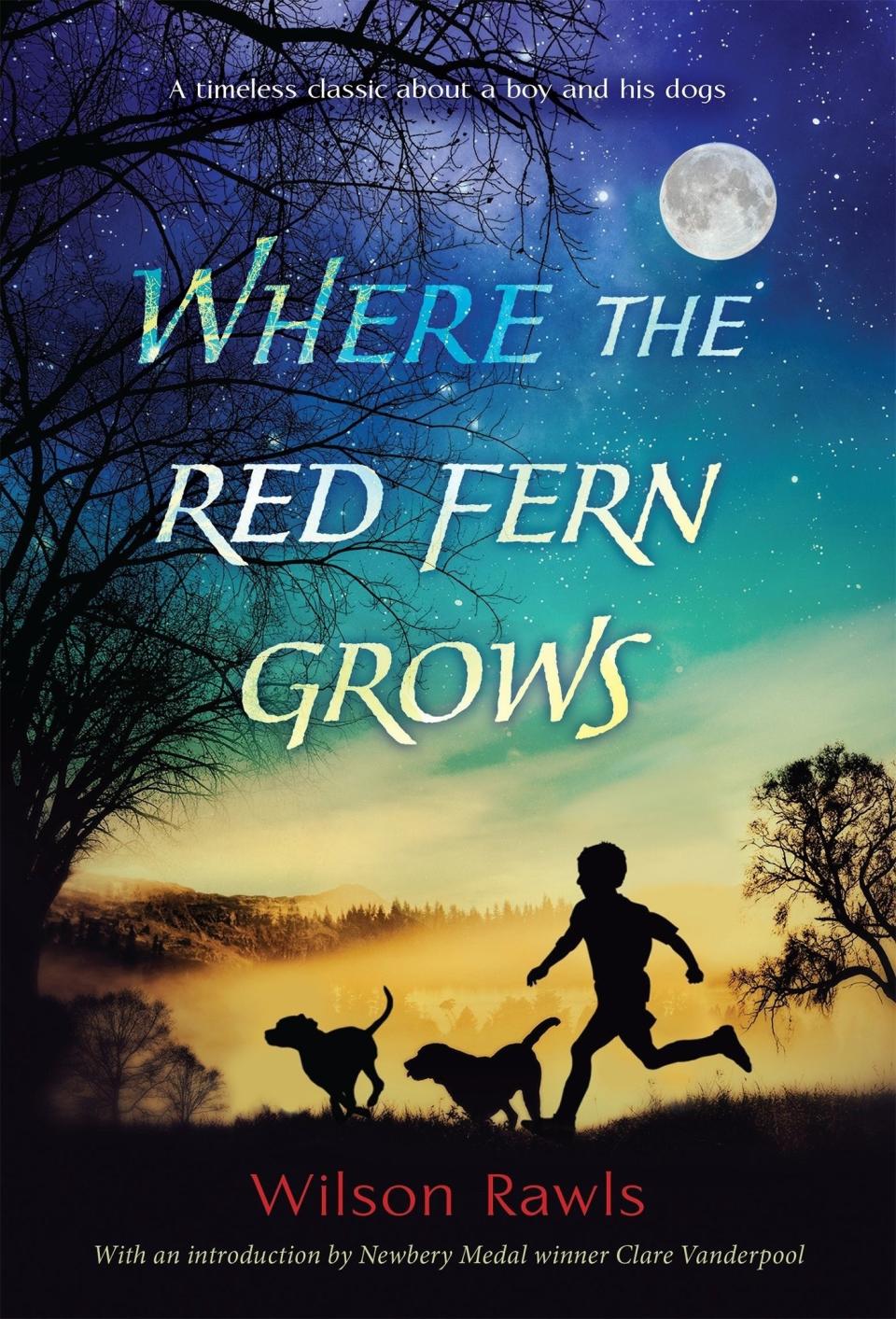 The cover of "Where The Red Fern Grows" by Wilson Rawls