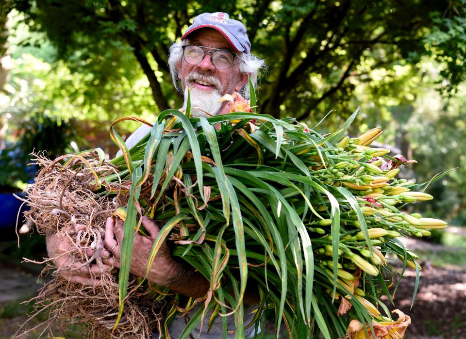 May 20 2024; Gordo, AL, USA; Len Holliman holds an armload of daylilies he has harvested that will be part of the sale at the Holliman family farm in Gordo.