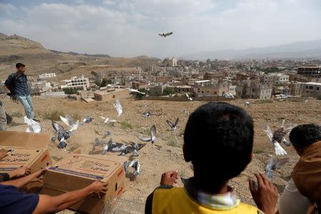 Doves fly after they were released by activists as part of a campaign to push Yemeni negotiators in Kuwait to reach a peace agreement, in Sanaa, Yemen June 29, 2016. REUTERS/Khaled Abdullah