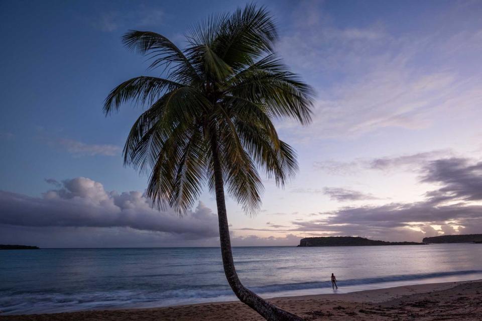 Sunset on the beach with a palm tree and woman in the distance.