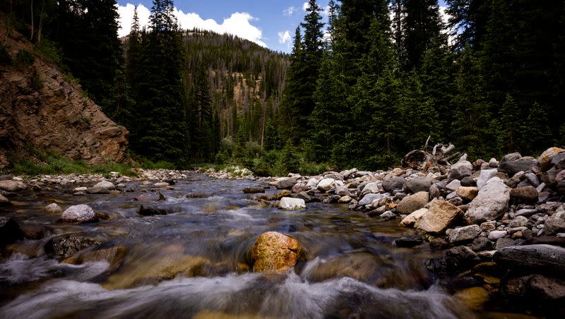 The Colorado River flows a few miles from its headwater in Rocky Mountain Park in Colorado on July 14, 2022.