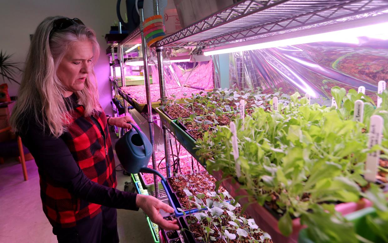 Sara L. Stewart, executive director of Unity Gardens, Wednesday, watts some newly germinated plants March 15, 2023, on the garden campus on Prast Boulevard in South Bend. 