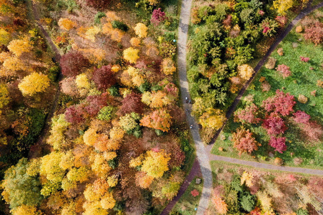 Survenant en automne sur le continent nord-américain, l'été indien marque une brève accalmie avec le climat plus froid caractéristique de la saison, avec des températures élevées sur quelques jours. (Photo d'illustration.)  - Credit:SEBASTIAN KAHNERT / DPA / dpa Picture-Alliance via AFP