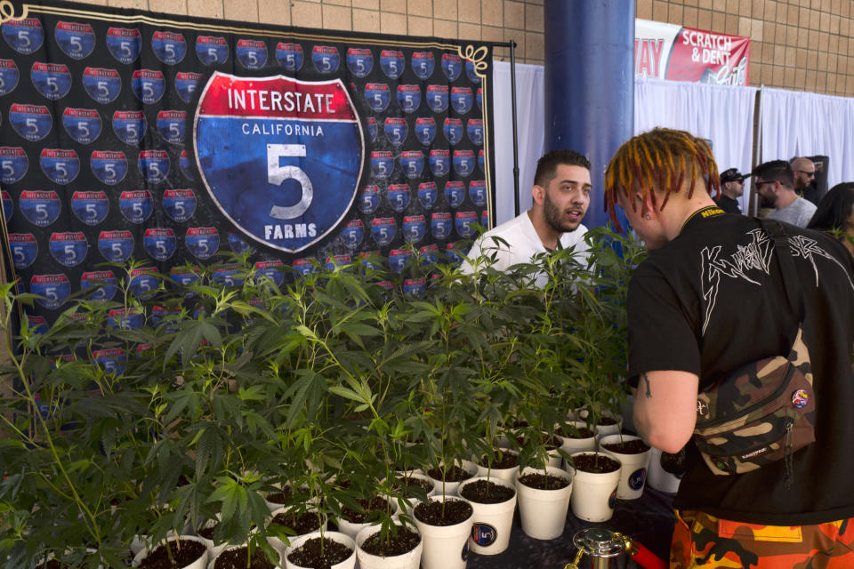 A customer shops at the cannabis-themed Kushstock Festival at Adelanto, Calif. (Photo: Richard Vogel/AP)