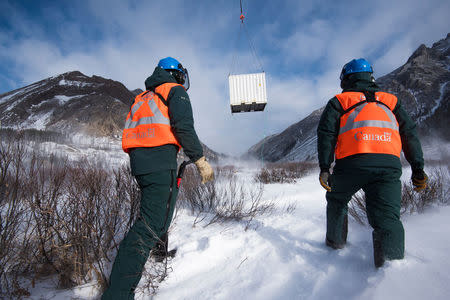 Parks Canada staff welcome the arrival of bison to Banff National Park’s Panther Valley in Alberta, Canada in this January 31, 2017 handout photo. Dan Rafla/Parks Canada/Handout via REUTERS