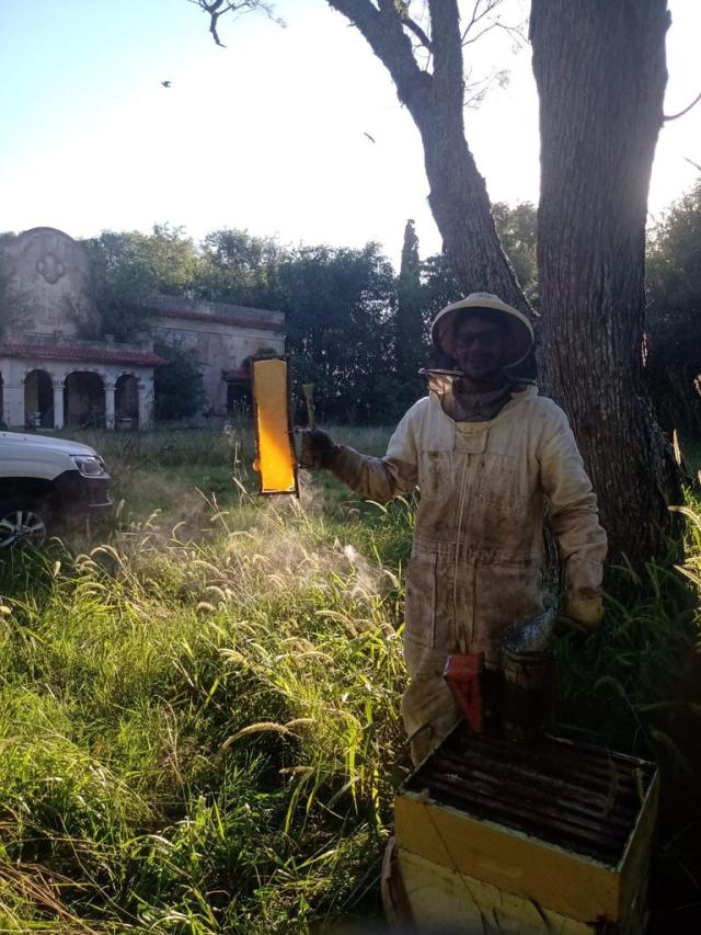 Las colmenas se asfixian por el calor y la sequía: la producción de miel,  en estado de alarma