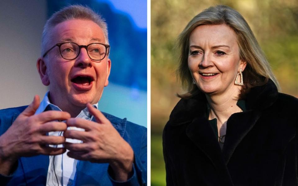 Michael Gove and Liz Truss - Jamie Lorriman for The Telegraph/Aaron Chown/PA Wire