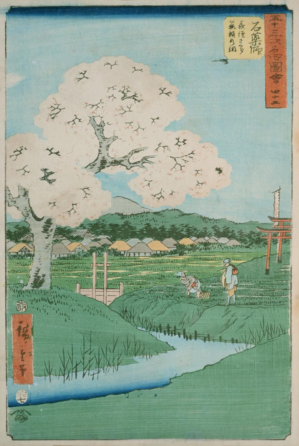 Utagawa Hiroshige Ishiyakushi: The Yoshitsune Cherry Tree near the Noriyori Shrine, no. 45 from the series Collection of Illustrations of Famous Places near the Fifty-Three Stations [Along the Tōkaidō], 1855 that will be on display in AMoA's 50th Anniversary exhibit from Jan. 15 to Mar. 27