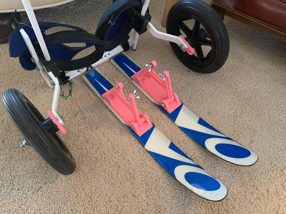 Corgi Gets Skis for Wheelchair