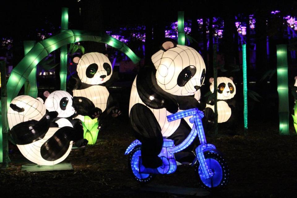 The N.C. Chinese Lantern Festival at Booth Amphitheatre in Cary features large-scale illuminated displays.