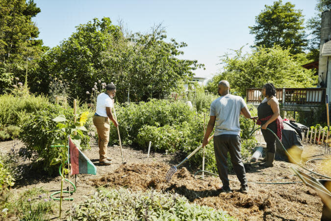 Black, Family-Owned Georgia Farm, Local Lands, Nabs Funding And Aims To Support ‘The Southern Side Of Metro Atlanta’ | Photo: Getty Images