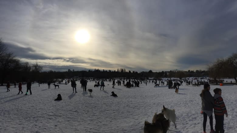 Game off! Vancouver's Trout Lake closed for skating