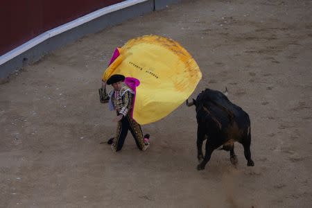 Alberto Lamelas performs a pass as he takes part in a bullfighting during San Isidro festival at Las Ventas bullring in Madrid, Spain, June 5, 2017. REUTERS/Sergio Perez