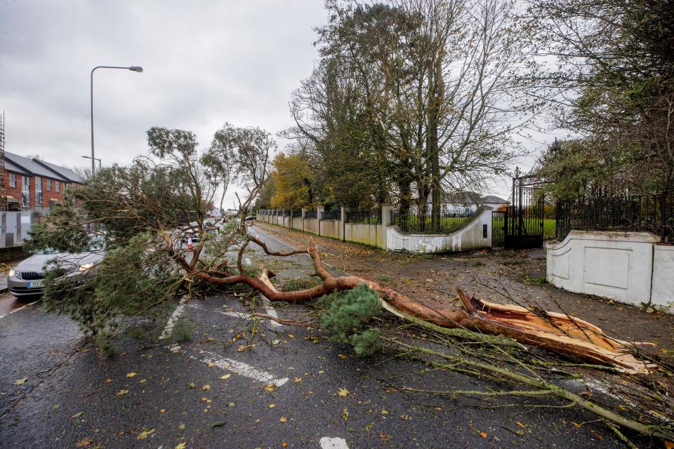  (Liam McBurney/PA Wire)