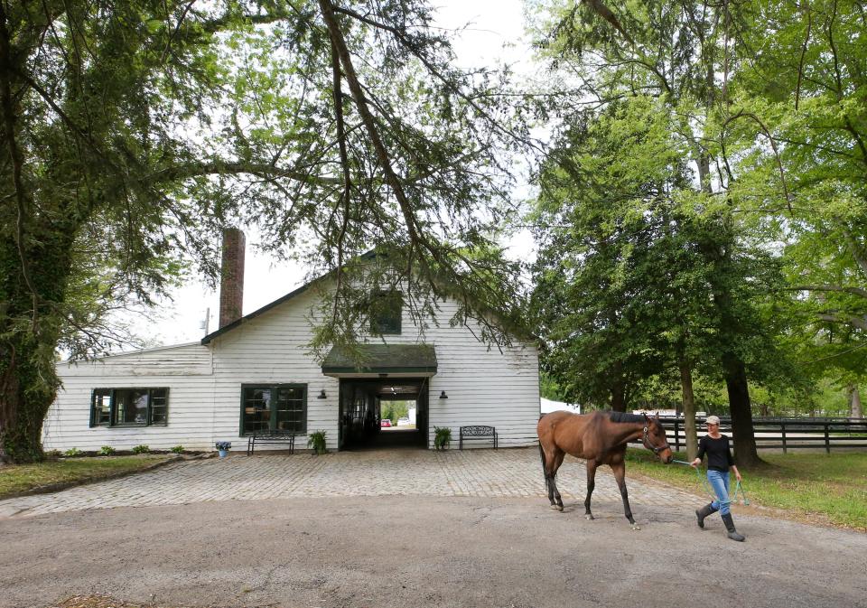 Anne Steinbock leads Special Reserve (multiple graded stakes winner) out of the main barn at Chorleywood. The  25-acre Chorleywood Farm is home to the nonprofit Thoroughbred transition program Second Stride, which provides rehabilitation, retraining and committed adoptive homes to retired racehorses, broodmares and young Thoroughbreds not suited to the track. Chorleywood Farm generally houses 16 transitioning Thoroughbreds at any one time and may serve 80 horses over a year.