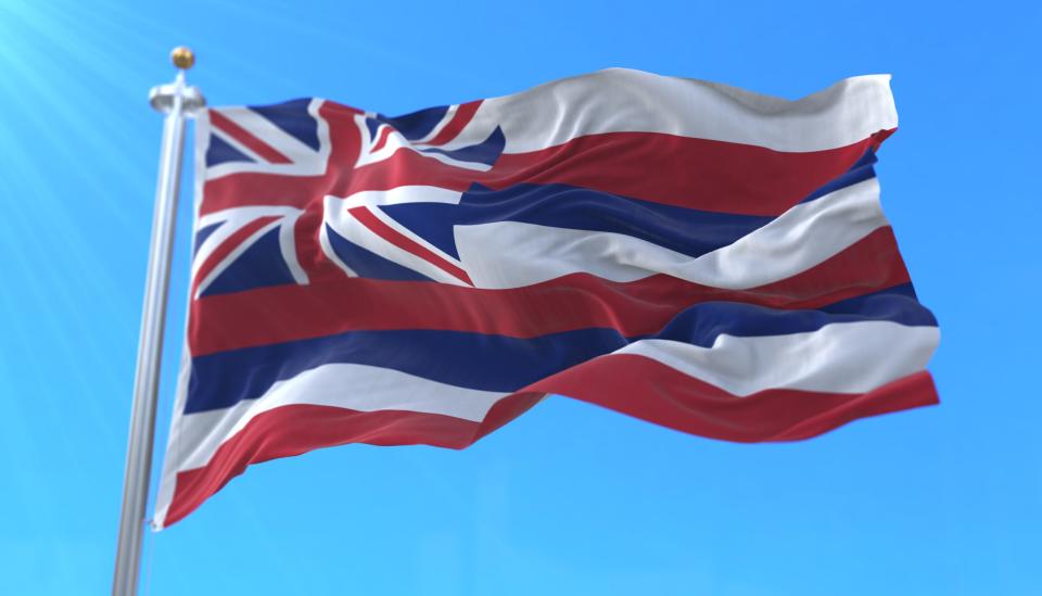 Hawaii state flag