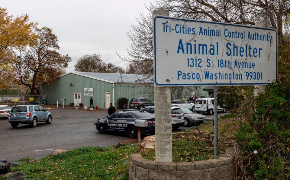 Dozens of reportedly neglected dogs and cats were removed in 2021 from the Tri-Cities Animal Shelter in Pasco by city officials. The investigation is separate from embezzlement charges filed against the shelter’s financial officer. Jennifer King/jking@tricityherald.com