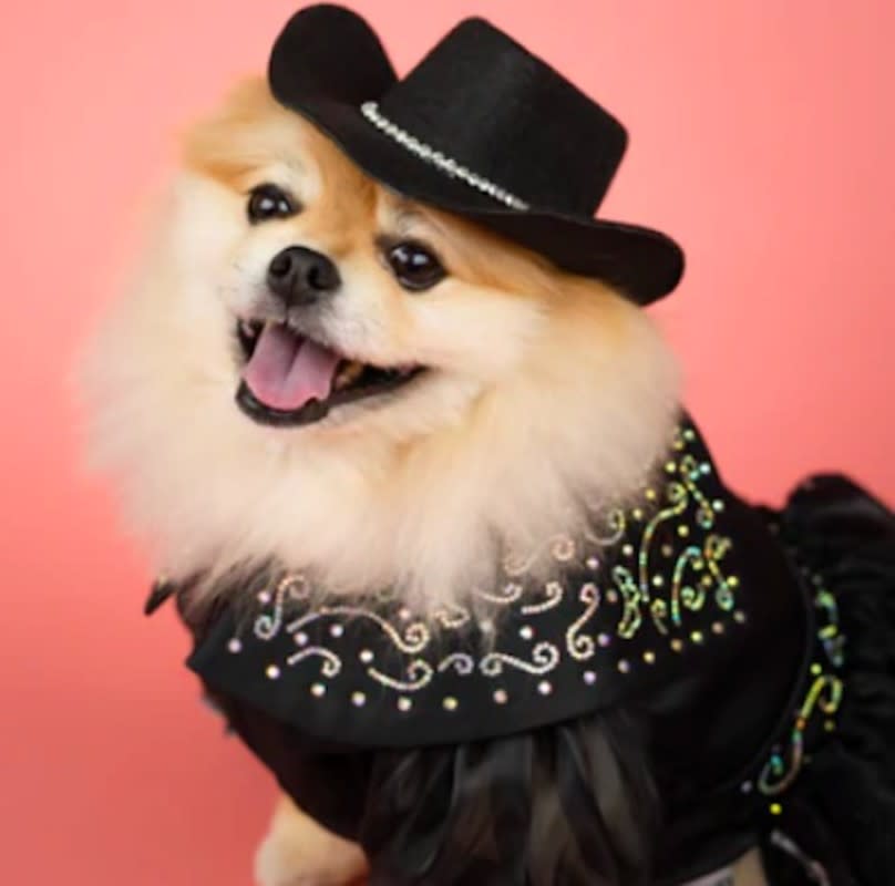 My dog needs this hat.<p>Doggy Parton</p>