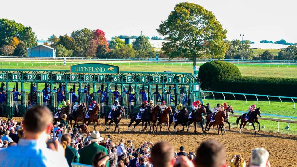 Keeneland’s 2023 Fall Meet, which runs from Oct. 6-28, gets underway Friday in Lexington. Three horses died as the result of racing incidents at the track during this year’s Spring Meet.