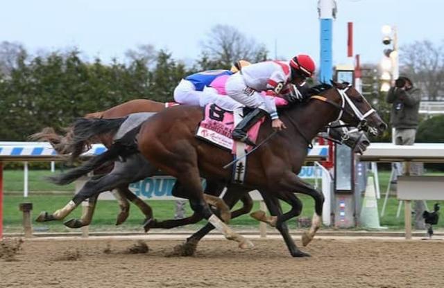 Lord Miles (8) won the Wood Memorial at Aqueduct by a nose over Hit Show in his final Kentucky Derby prep race on April 8.