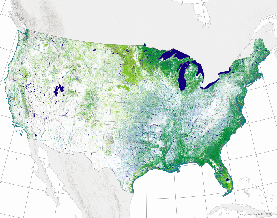 Current mapping by the U.S. Fish and Wildlife Service shows most of Kentucky's remaining wetlands are in the western portion of the state.