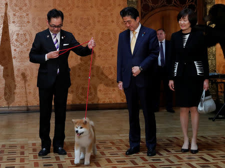 Japanese Prime Minister Shinzo Abe and his wife Akie Abe watch an Akita Inu puppy presented to Russian skater Alina Zagitova, who who won Olympic gold in Pyeongchang, in Moscow, Russia May 26, 2018. REUTERS/Maxim Shemetov
