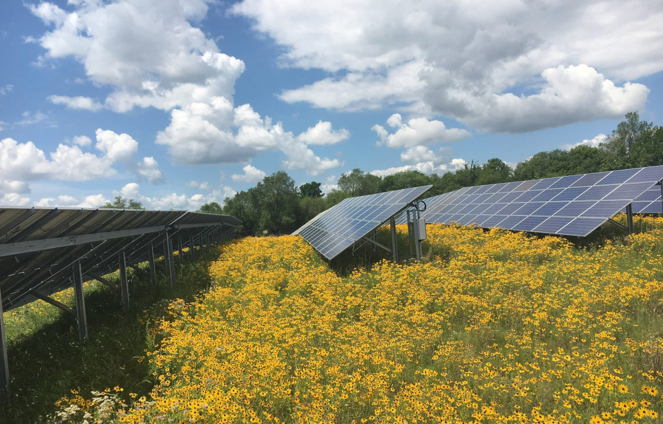 Cypress Creek Renewable implemented the state's first first pollinator-friendly photovoltaic system, Jefferson solar farm in Watertown NY.